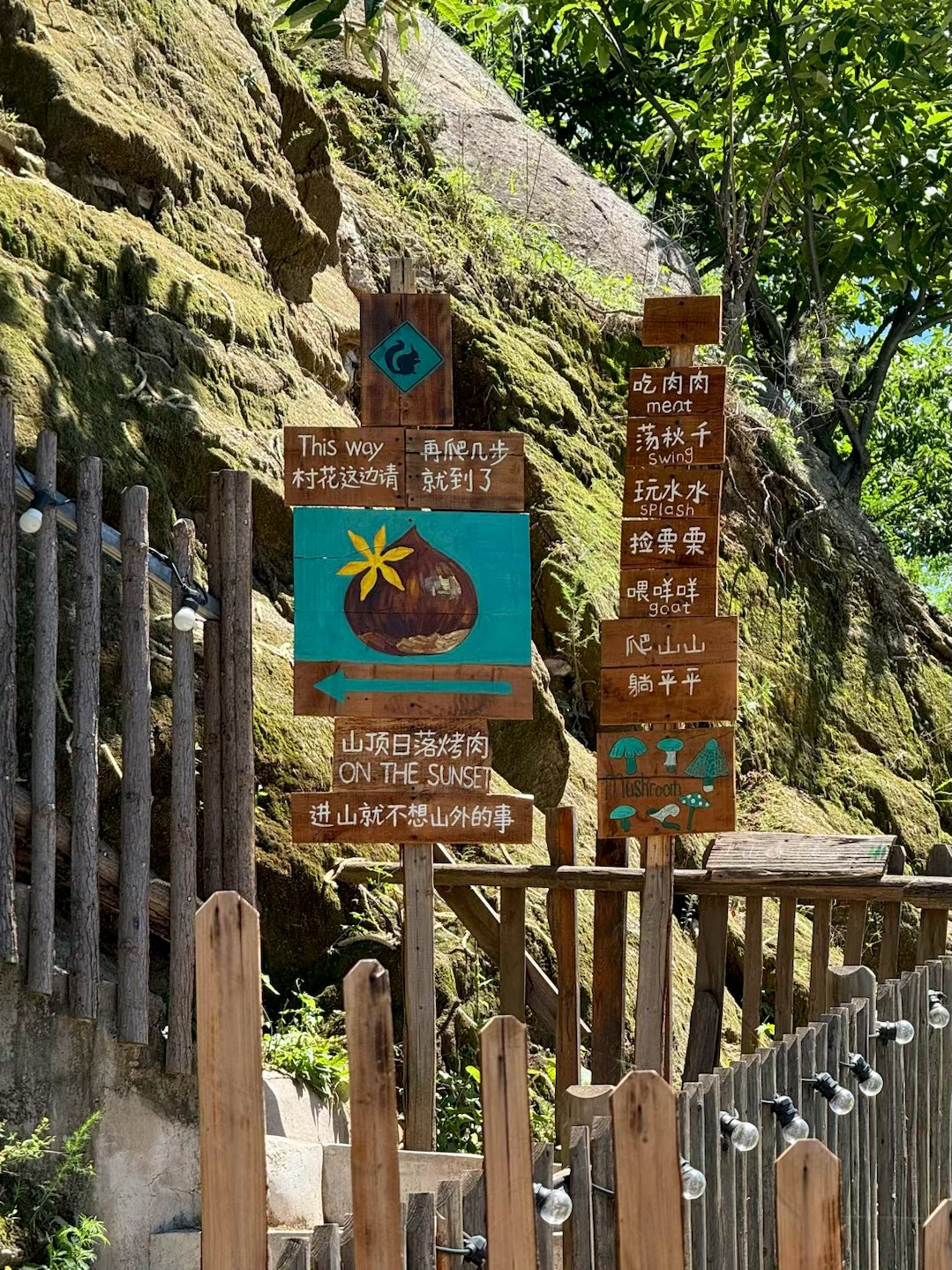 沉浸式乡村体验之旅